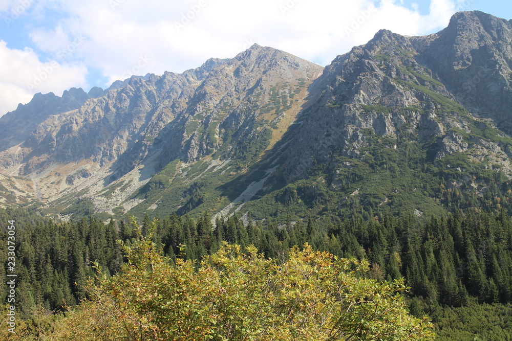 Autumn in Mengusovska dolina valley, High Tatras, Slovakia