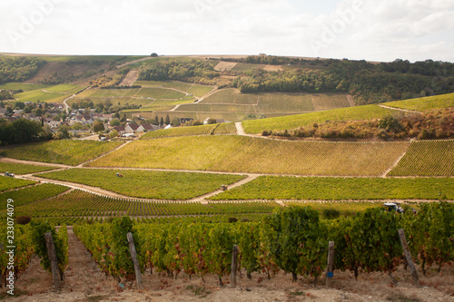 Wallpaper Mural Vifdange des vignes de Sancerre Torontodigital.ca