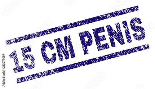 15 CM PENIS seal stamp with grunge style. Blue vector rubber print of 15 CM PENIS text with grunge texture. Text label is placed between parallel lines.