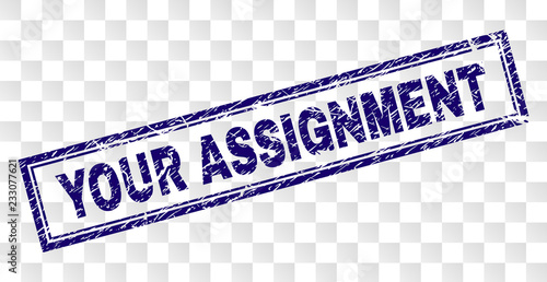 YOUR ASSIGNMENT stamp seal watermark with rubber print style and double framed rectangle shape. Stamp is placed on a transparent background.