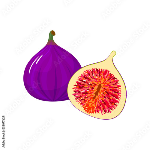 Cartoon fresh fig isolated icon on white