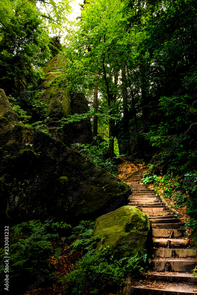 Obraz premium Hidden path through the forest around the Bastei bridge in Saxony, Germany