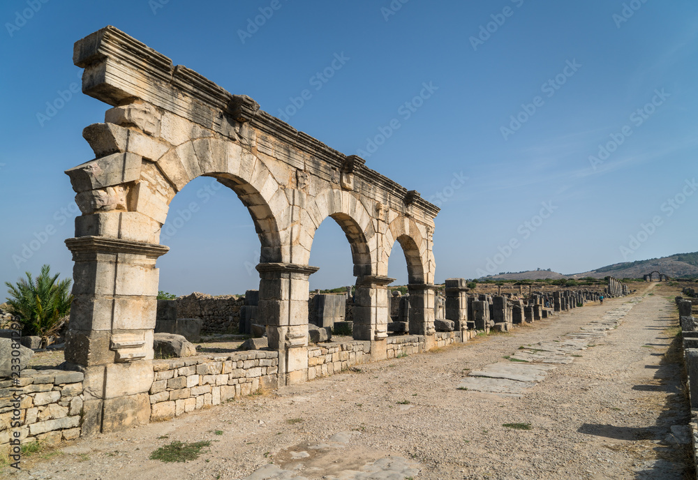 Volubilis Roman Road and Arches