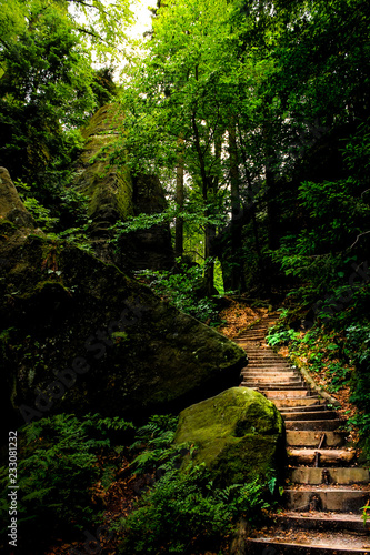 Hidden path through the forest around the Bastei bridge in Saxony  Germany