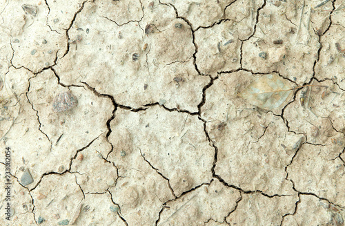 Cracks in the ground, Close up of an surface of dry land ,Many cracks on dry ground, the texture of the earth
