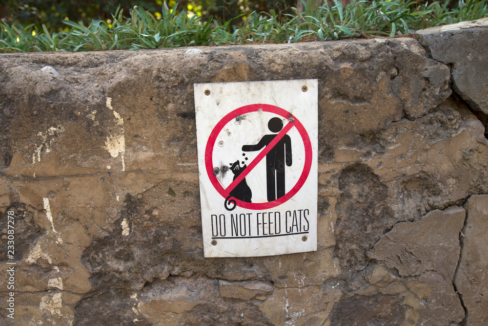 Do not feed Cats: street sign in the territory of the American University of Beirut, Lebanon. Do not feed Cats: street sign in the territory of the American University of Beirut, Lebanon.