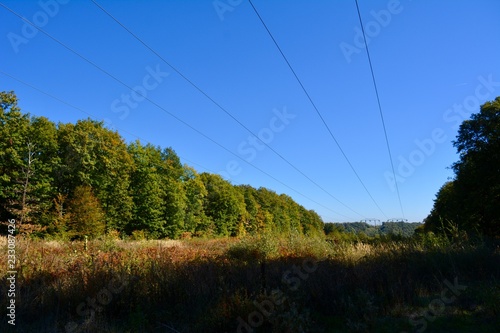 landscape with forest blue sky