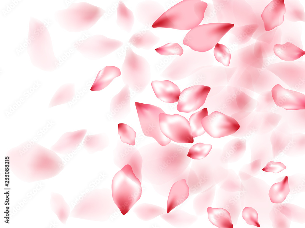Pink sakura flower flying petals isolated on white vector background. Pink sakura flower flying petals isolated on white vector background.