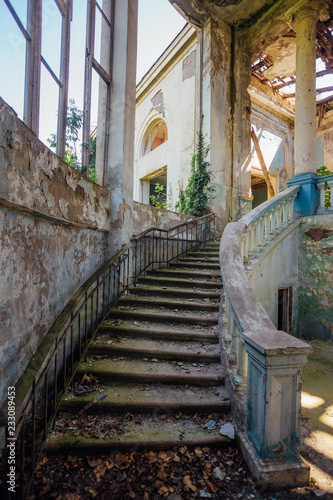 Old overgrown by plants staircase in ruined abandoned mansion © Mulderphoto