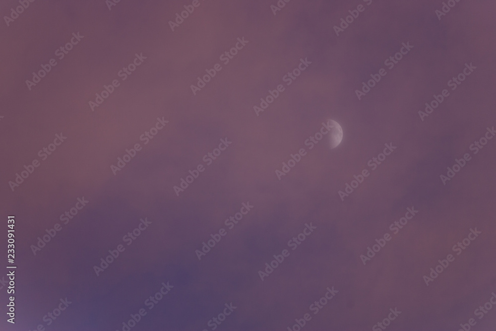 Half moon in a pink sky at dusk with copy space to the left