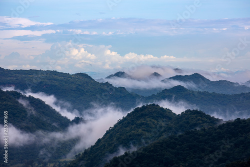 View of tropical forest, Khao Yai National Park, Thailand © chirawan_nt