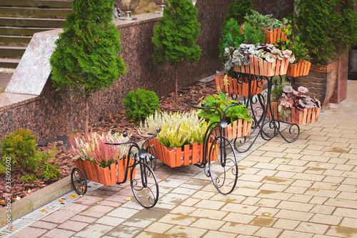 Wallpaper Mural Flowers and plants stand in pots in the form of bicycles on the street Torontodigital.ca