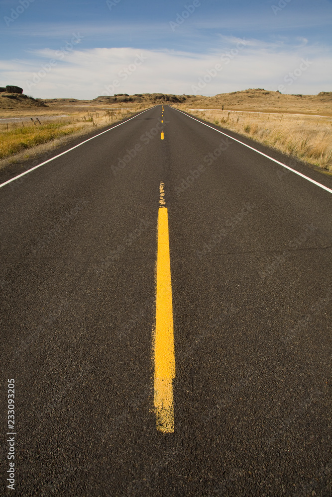 Fototapeta premium road in the desert