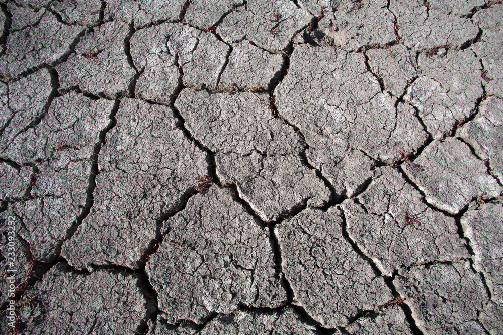 dry cracked earth dry cracked earth