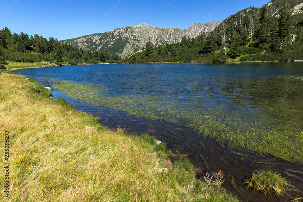Amazing Landscape with Fish Vasilashko lake, Pirin Mountain, Bulgaria