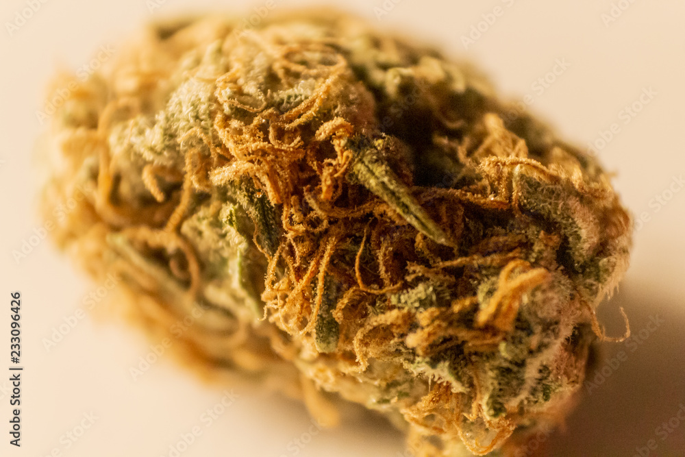 Macro extension close up of a green marijuana bud with long orange hairs and coated in crystals.