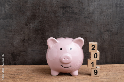 Year 2019 financial target, budget, investment or business goals concept, pink piggy bank and stack of cube wooden block building year number 2019 on wood table with dark blackboard background