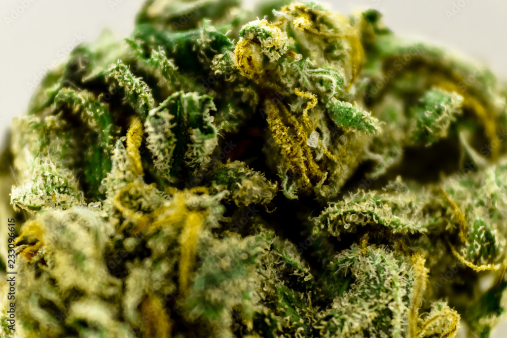 Macro extension close up of a green marijuana bud with long orange hairs and coated in crystals.