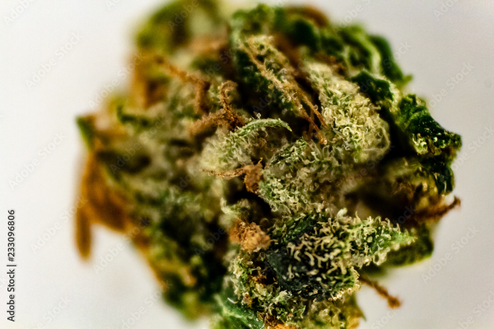Macro extension close up of a green marijuana bud with long orange hairs and coated in crystals.