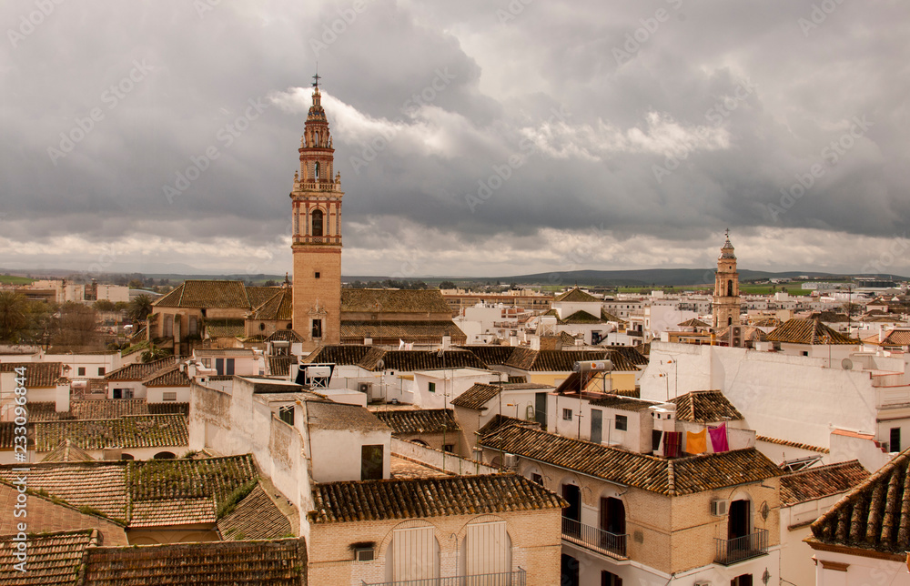 Panoramic view of Ecija town, Spain