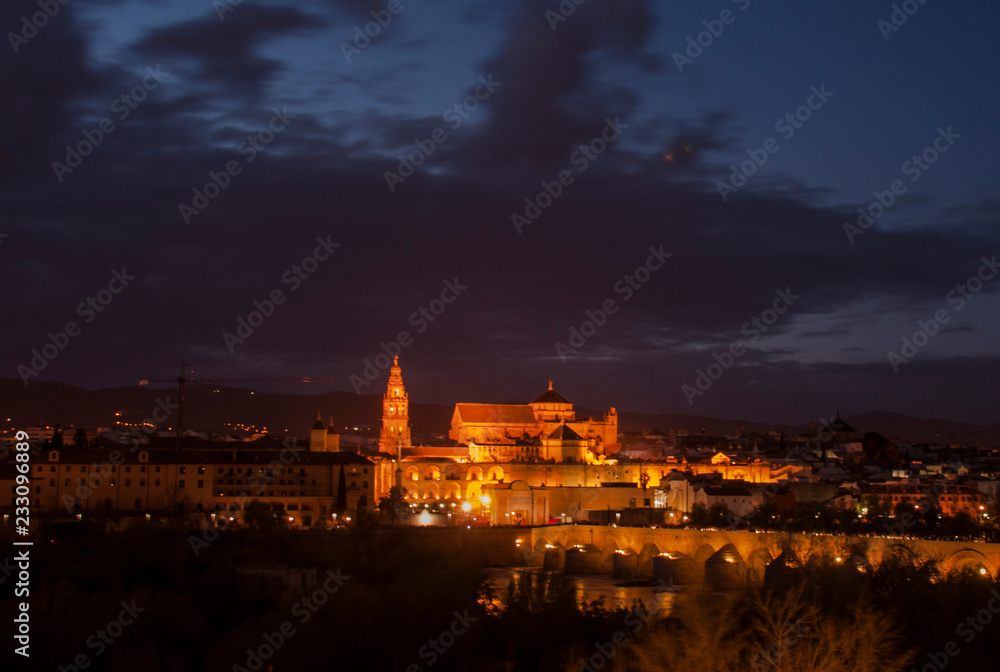 Fototapeta premium Cordoba night view