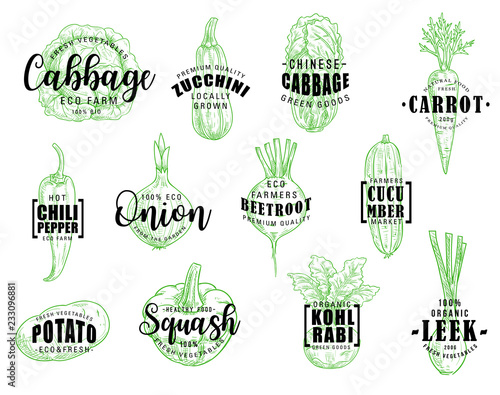 Organic natural vegetables, vector lettering
