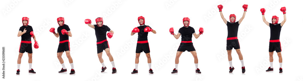 Funny boxer isolated on the white