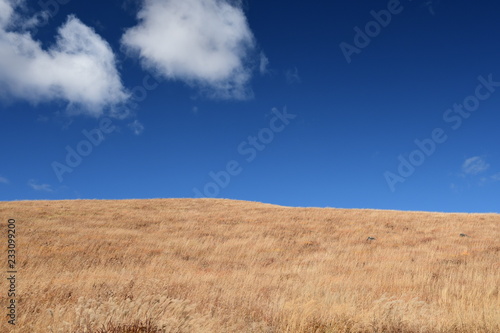 秋の草原と青空