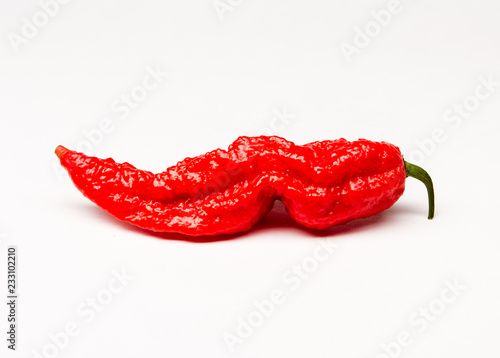 Red Bhut Jolokia - Ghost Pepper 2 photo