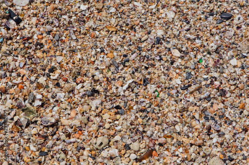 Sea sand texture made of shell and stone pieces.