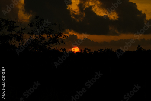 sunset in forest