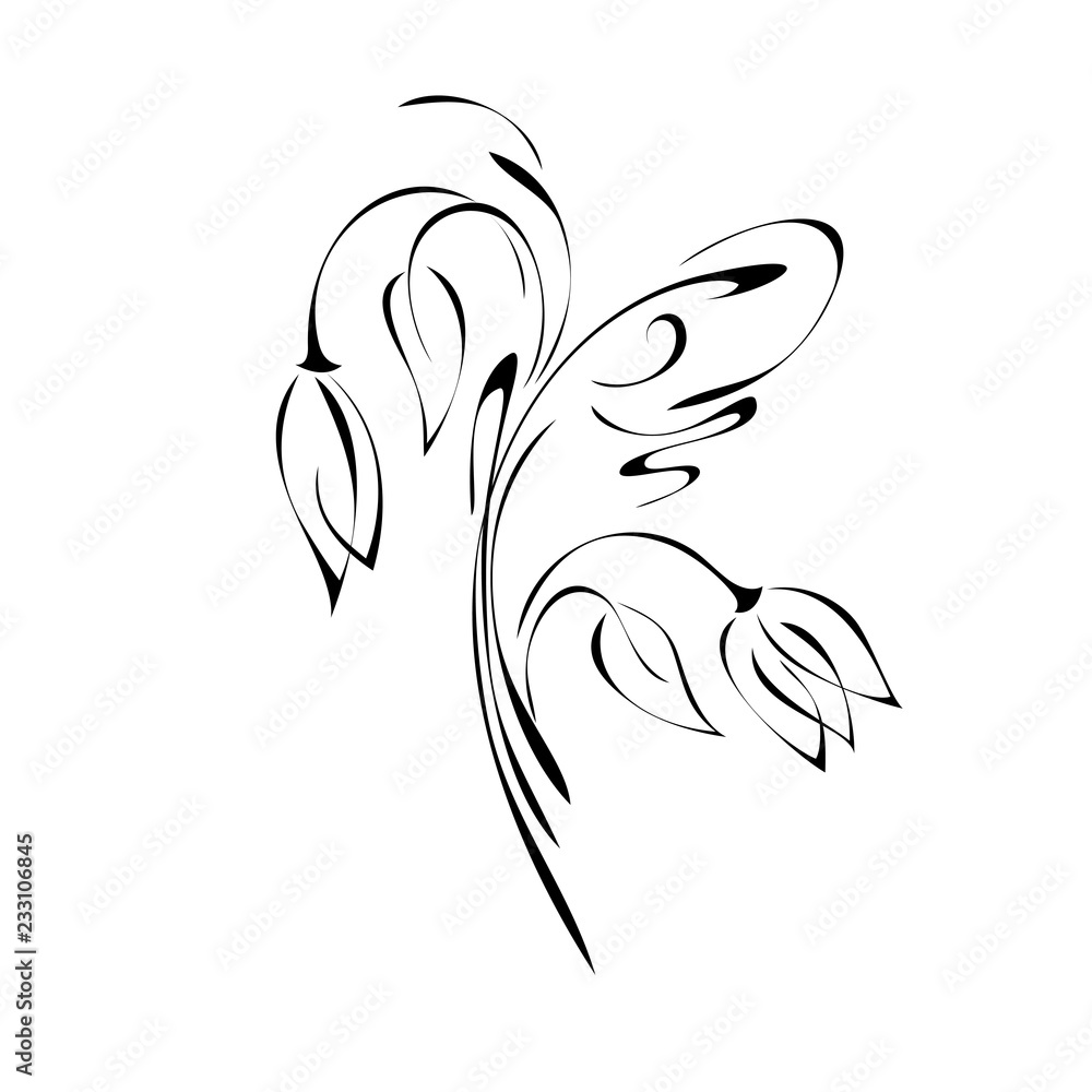 two stylized Tulip flowers on stems with leaves in smooth black lines on white background two stylized Tulip flowers on stems with leaves in smooth black lines on white background