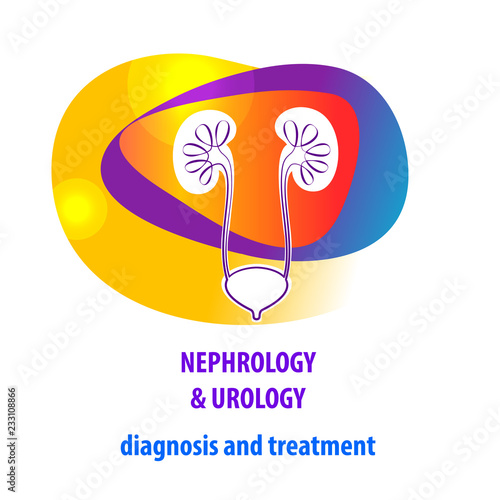 Template simple style logo, banner, poster, flyer for medical clinic, cabinet. Concept diagnosis and treatment nephrology, urology, urogenital system, kidney, ureter and bladder. Vector illustration