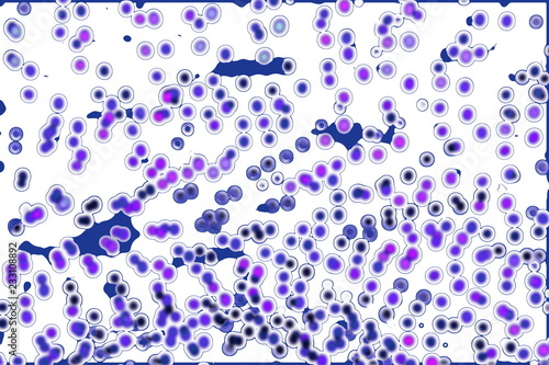 Wallpaper Mural seamless disease microorganisms bacteria, viruses, fungi and yeast or cell of organism from Electron microscope on white background. Torontodigital.ca