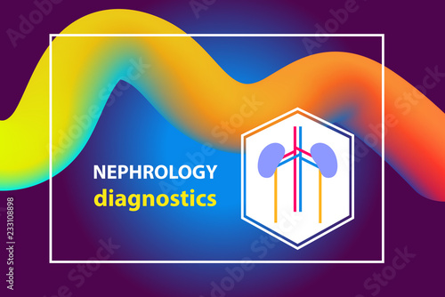Concept image for diagnostics nephrology, urology, urogenital system, kidney. Template style logo, banner, poster, flyer for medical clinic, cabinet. Vector illustration