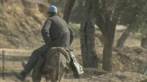 A rural scene of a up of a man riding a working donkey down a dusty path