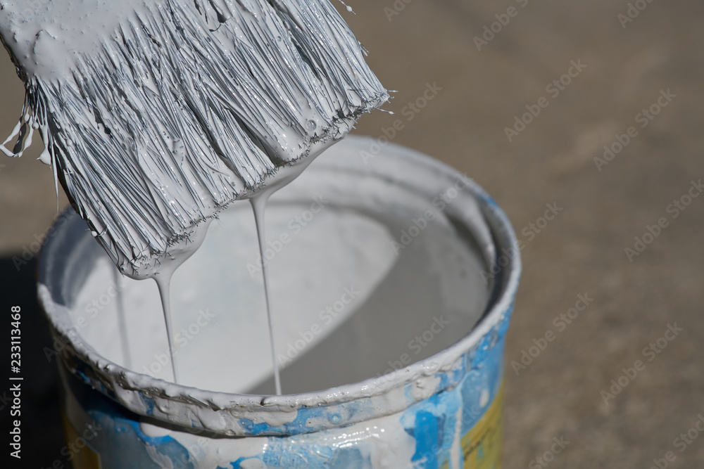 Fototapeta premium Paint brush