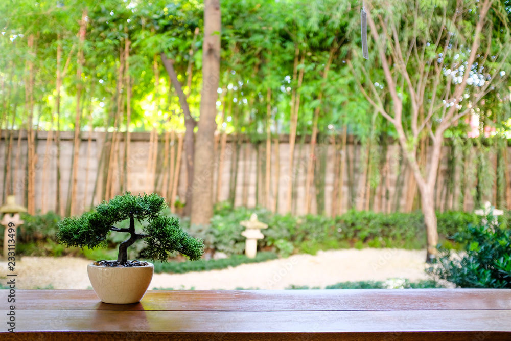 Planted bonsai tree in yellow ceramic pot with blurred japanese zen garden background