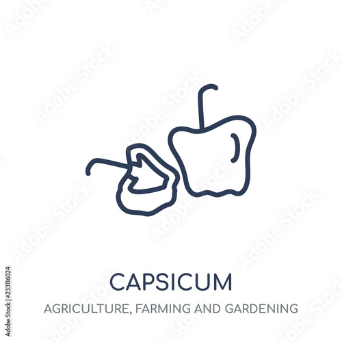 Capsicum icon. Capsicum linear symbol design from Agriculture, Farming and Gardening collection.