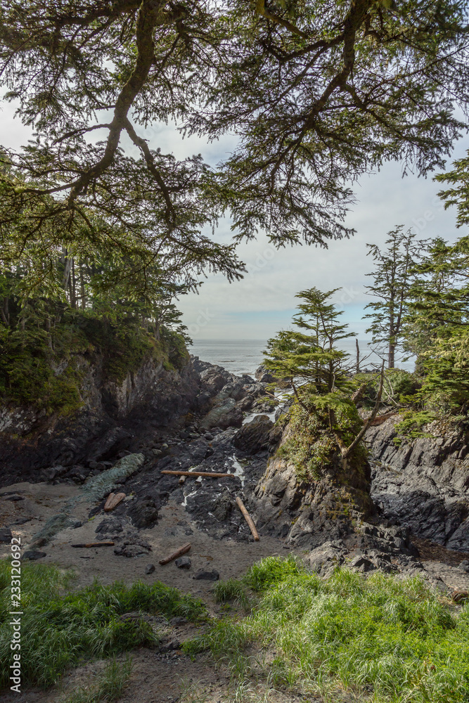 Wild Pacific Trail, Ucluelet, Vancouver Island, British Columbia, Canada Wild Pacific Trail, Ucluelet, Vancouver Island, British Columbia, Canada