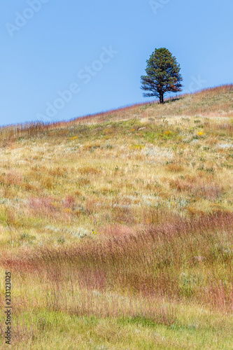 Black Hills South Dakota