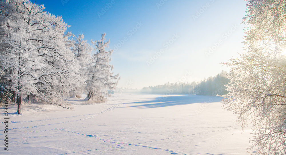 Obraz premium Winter park