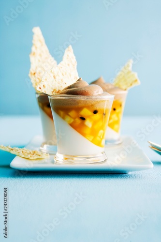 Coconut panna cotta with fruits photo