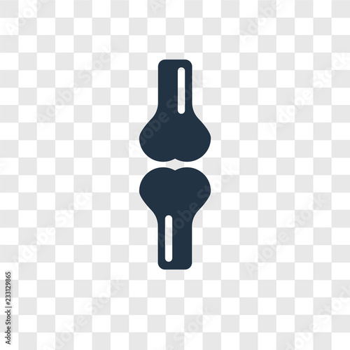 Femur vector icon isolated on transparent background, Femur transparency logo design