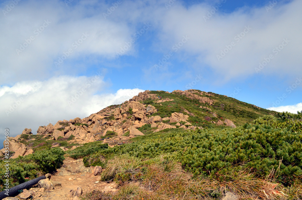 至仏山登山道からの風景