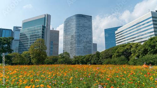 Hamarikyu Gardens is a large and attractive landscape garden in Tokyo, Chuo district, Sumida River, Japan photo