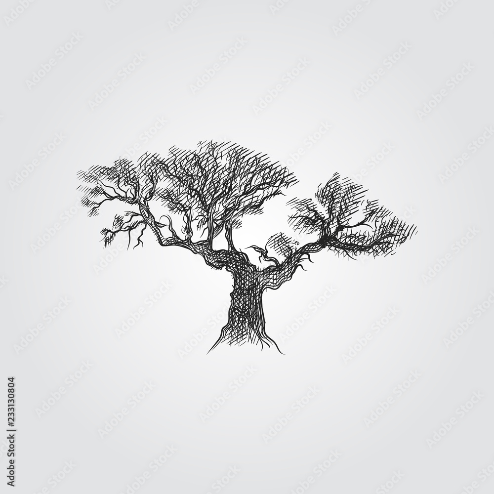 Hand Drawn Olive tree Sketch Symbol isolated on white background Vector of Olive  tree In Trendy Style Olive elements in sketch style Stock Vector  Adobe  Stock