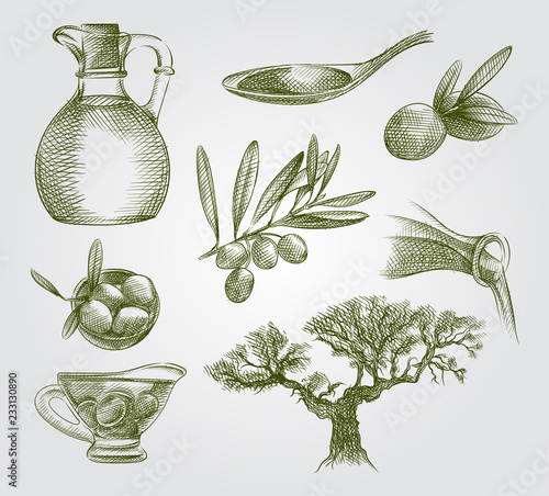 Set of Hand Drawn olive elements. Collection Of olives and olive oil illustrations. Olive elements Sketches isolated on white background.