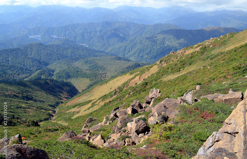 至仏山登山道からの風景 至仏山登山道からの風景