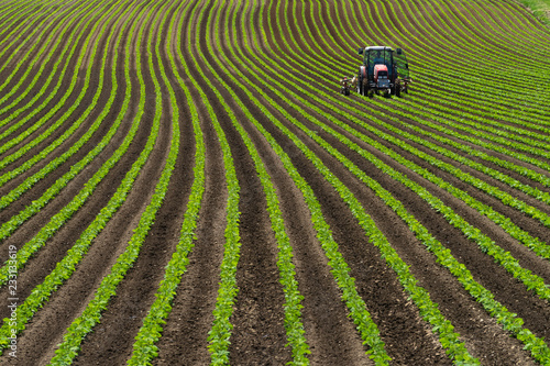 Картината върху платно Soy bean row farm with a Tractor in Niseko Hokkaido Japan summer